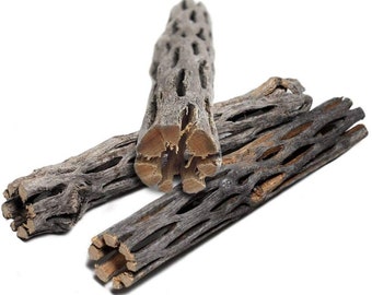 Cholla Wood Pieces 6&#39;&#39; Cactus Wood Natural Aquarium Decor Organic For Shrimp Shelter Intertebrates Fish Free Shipping