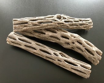 Cholla Wood Pieces 6'' Cactus Wood Natural Aquarium Decor Organic For Shrimp Shelter Intertebrates Fish Free Shipping