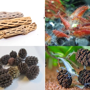 May include: A collection of aquarium decorations, including a pile of brown cholla wood, a group of brown pinecones, and a tank with red and white shrimp swimming around a pinecone.