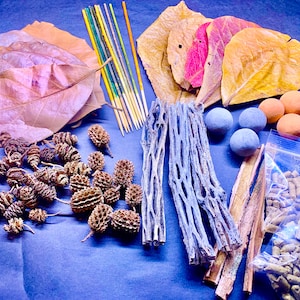 May include: Assortment of natural materials for crafting and decorating, including dried leaves, sticks, pinecones, small wooden balls, and a bag of small brown pellets.