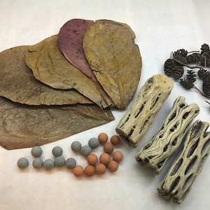 May include: A collection of natural materials for crafting and decorating, including dried leaves, small branches with pine cones, pieces of driftwood, and small terracotta and gray ceramic balls.