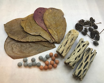 Indian Almond Leaves x5, Mineral Balls x10, Red Bee Balls x10, Cholla Wood x3, 15 Alder Cones for Freshwater Shrimp, Betta Fish