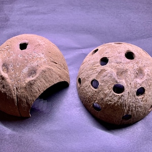 Natural Coconut Shells x2 ~ Shrimp Hide Cave, pleco shelter Aquarium Decoration for Shrimps and fish fry