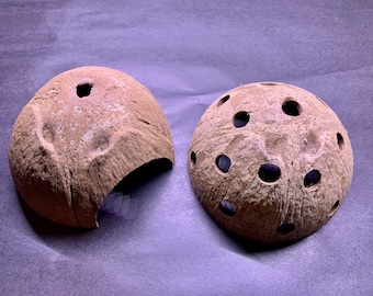 Natural Coconut Shells x2 ~ Shrimp Hide Cave, pleco shelter Aquarium Decoration for Shrimps and fish fry