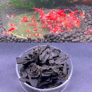 Shrimp Jerky Treats All In One - Food For Shrimp, Snails, Bristlenose pleco & Otocinclus Invertebrates Aquarium Free Shipping