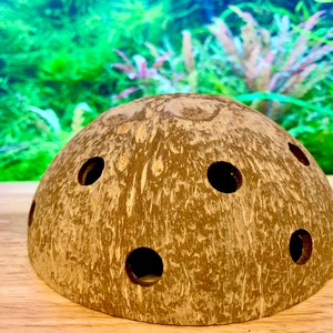 Natural Coconut Shell ~ Shrimp Hide Cave, Aquarium Decoration for Shrimps and fish fry