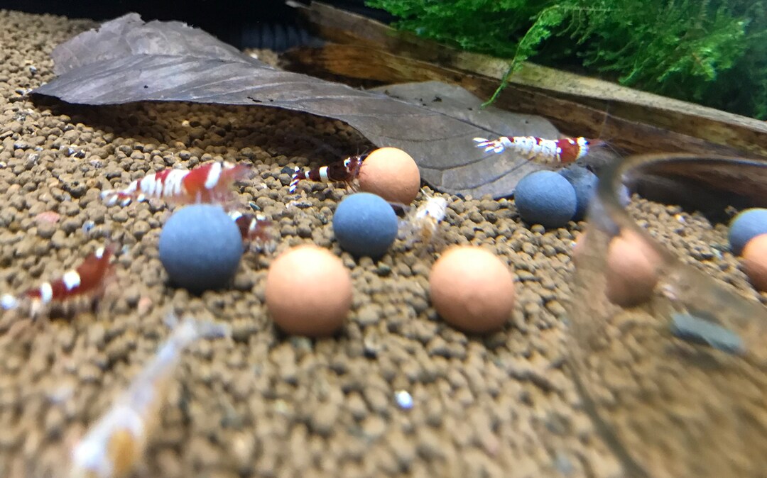 Tourmaline Mineral Balls Red Bee Balls 10MM Shrimp Supplement