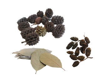 Jackfruit Leaves + Filao Cones + Alder Cones - for Freshwater Shrimp, Betta Fish, Tropical Fish Aquariums & Terrariums , Free Shipping.