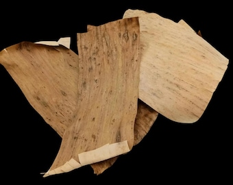 Organic Banana Leaf Strips, Aquarium and Terrarium Decor