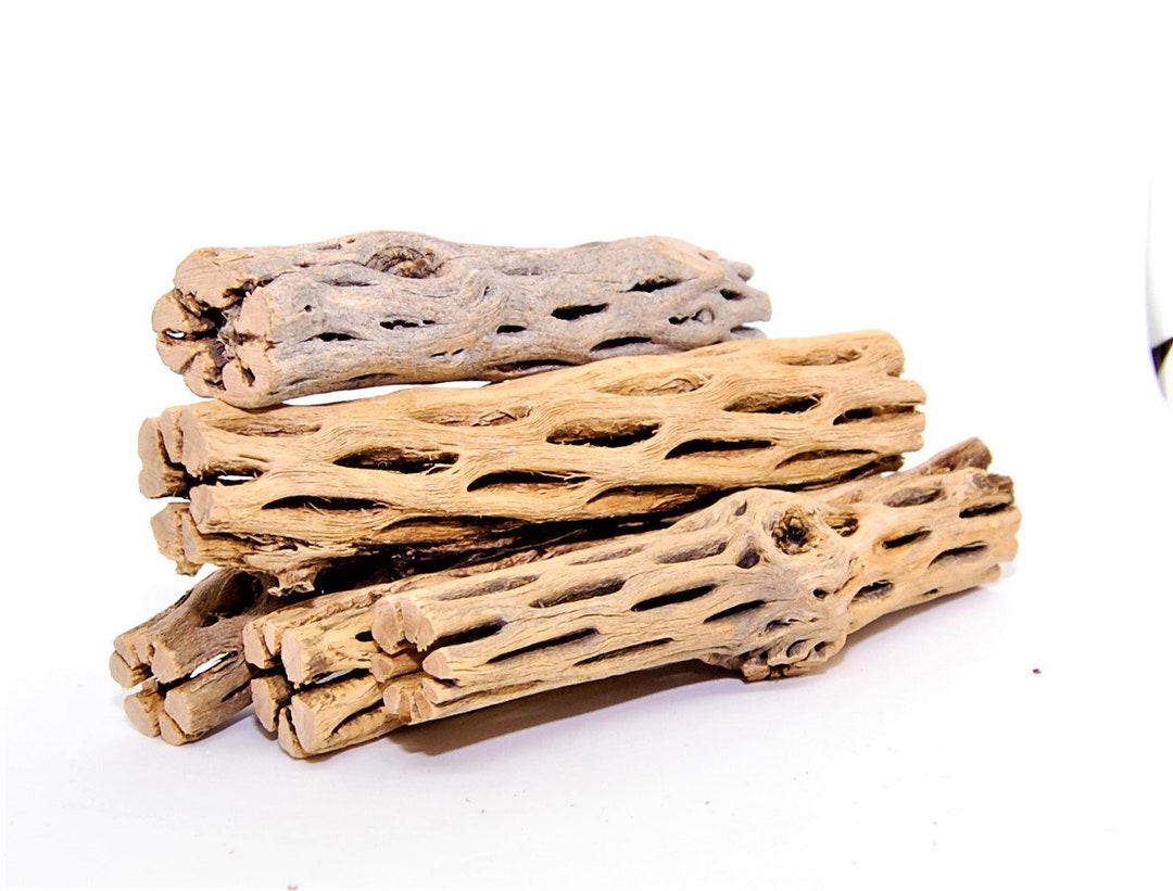 3 Cholla Wood Nano Pieces 3'' Cactus Wood Natural Aquarium Decor