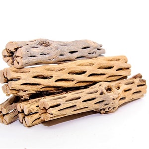 3 Cholla Wood Nano Pieces 3'' Cactus Wood Natural Aquarium Decor Organic For Shrimp Shelter Intertebrates Fish Free Shipping