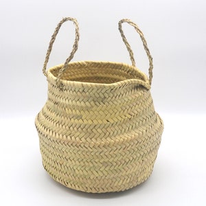 Natural Moroccan palm leaves Belly Basket / planter for indoor plants with sisal Handles
