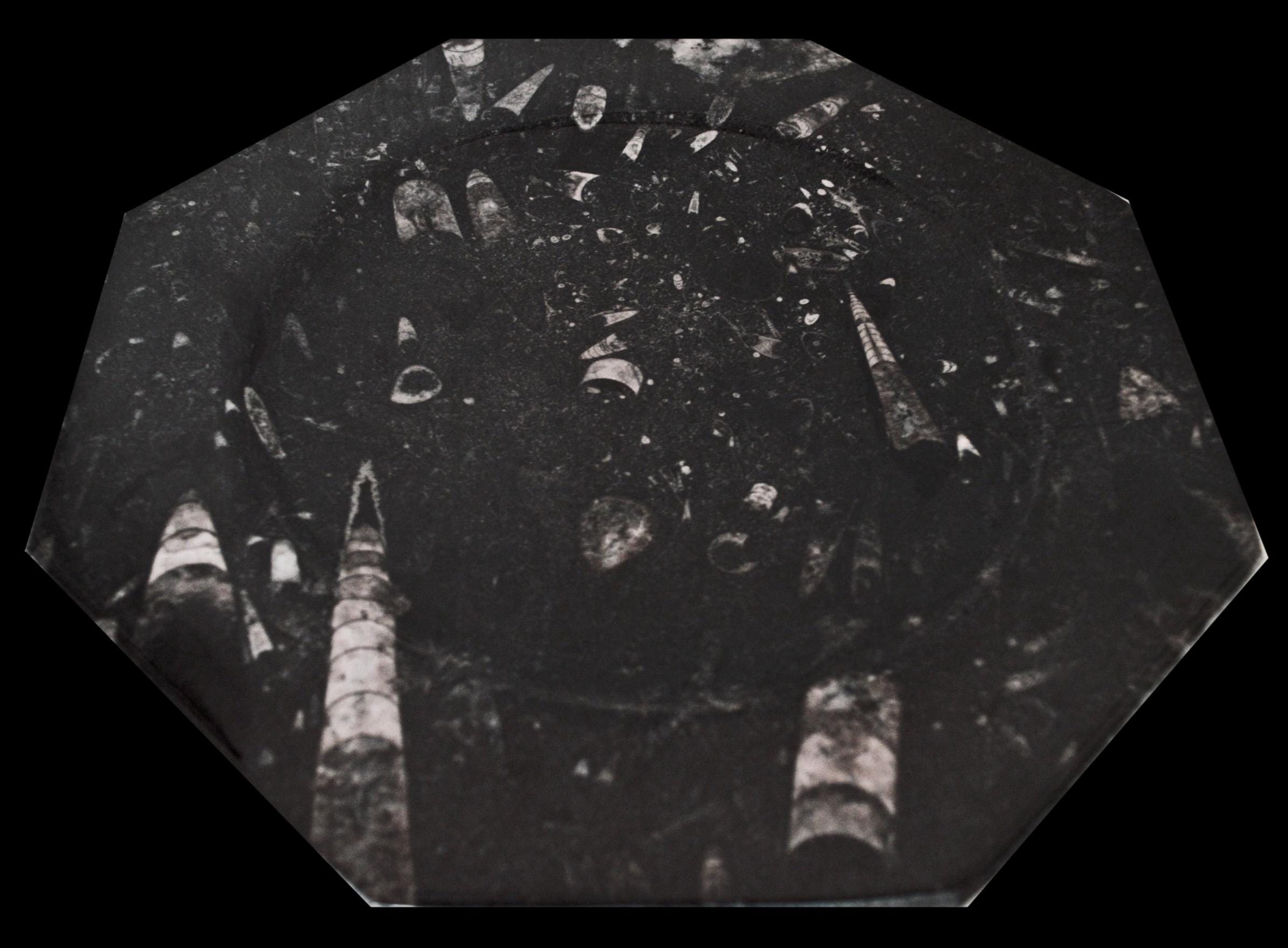 Large Black Moroccan Fossils Octagonal Platter With Ammonoids and Large Black Moroccan Fossils Octagonal Platter With Ammonoids and