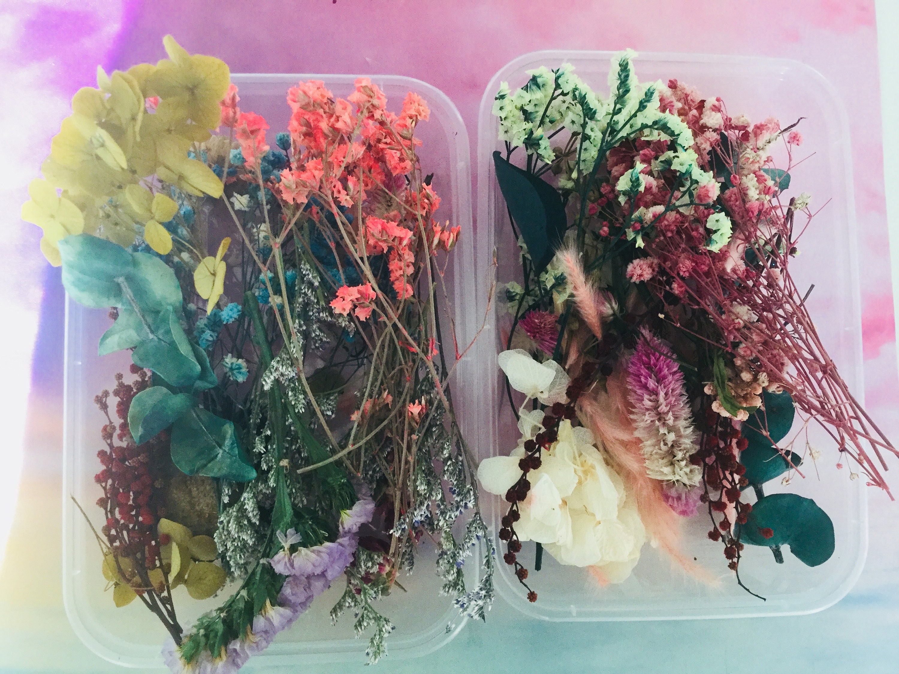1Pot Fashion Dried Flowers for Resin Craft Nail Art Mix Small Mini Dry  Flowers Press on Nail Charms Summer Nail Accessories