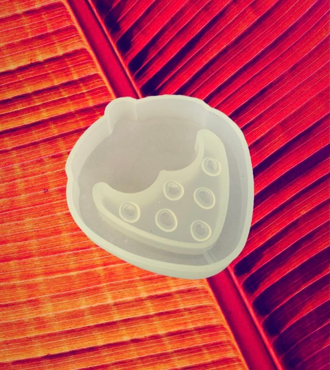 Strawberry Shaker Mold Silicone Molds Galaxy Moon Mold Etsy