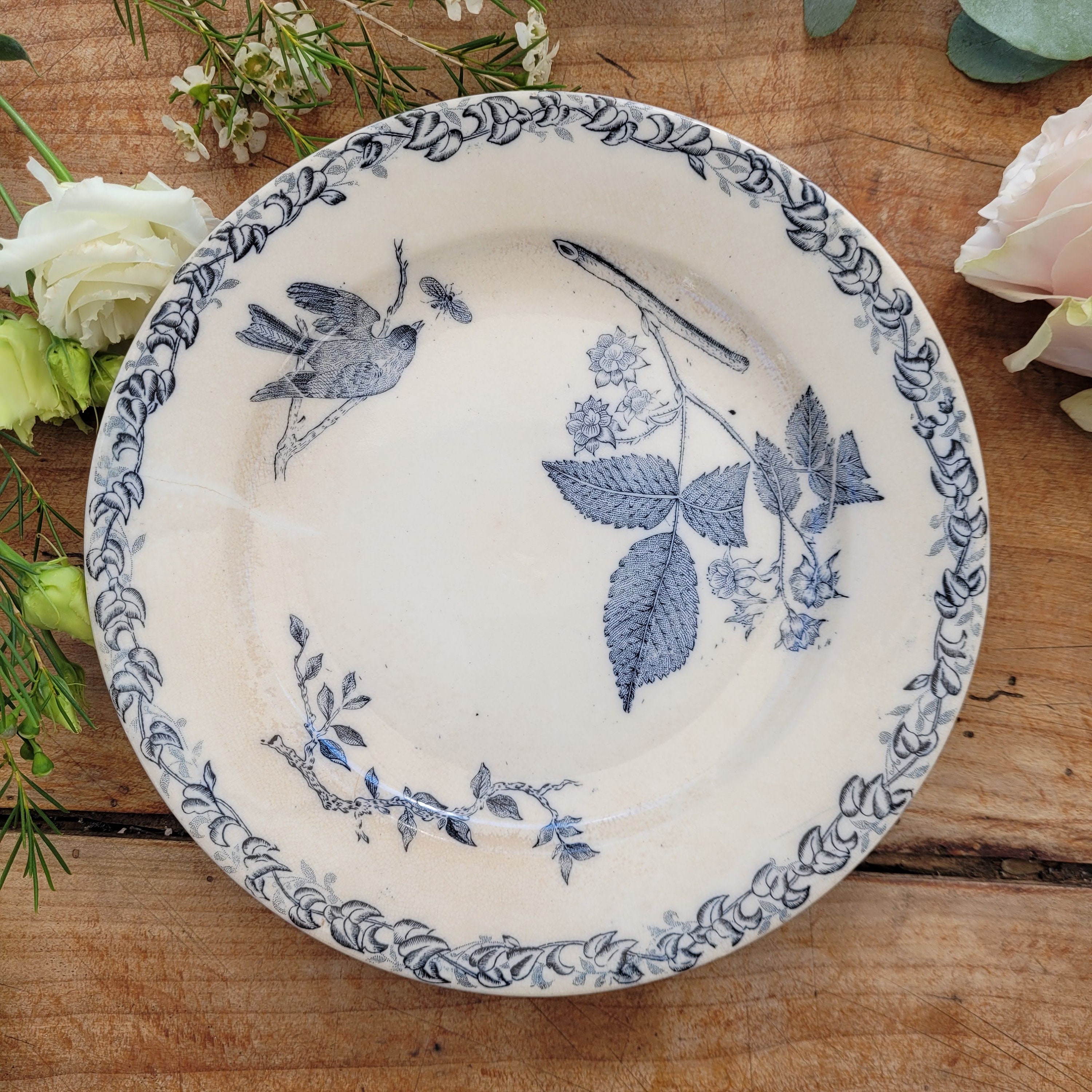 Assiette Plate Ancienne Terre de Fer