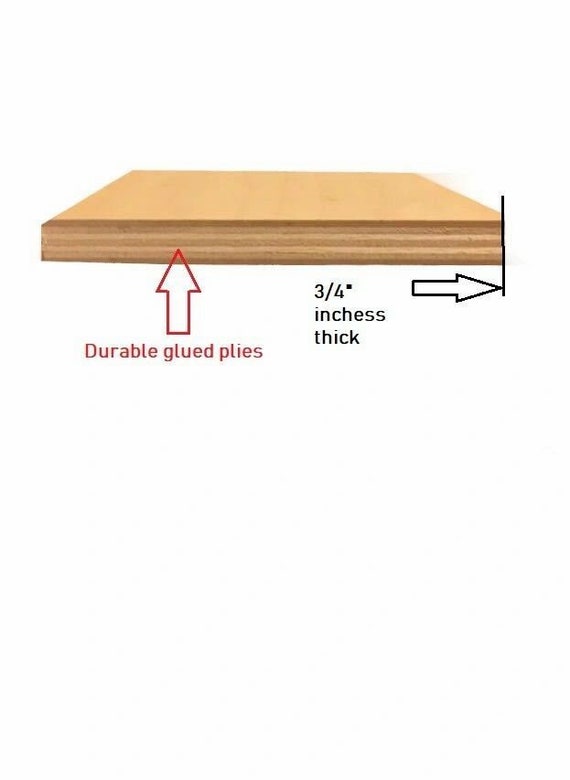 Surfaces 22.4375-in W x 0.75-in H x 10.5-in D Natural Birch Stained Cabinet  Shelf Kit