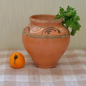 Könnte beinhalten: Ein brauner Tontopf mit grünen und schwarzen bemalten Mustern steht auf einer karierten Tischdecke mit einer kleinen orangenen Tomate daneben. Ein Zweig grüner Petersilie liegt auf dem Rand des Topfes.