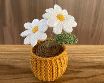May include: A crocheted flower pot with two white daisies and green leaves. The pot is a mustard yellow color and has a brown crocheted base.