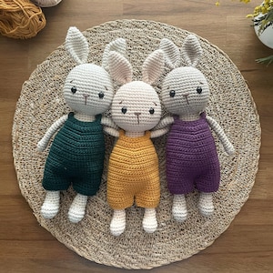Spring The Bunny PDF Amigurumi Pattern