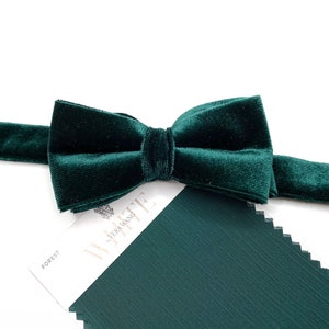 Forest Green Velvet Bow Tie ,  Pocket Square , Bow tie , Necktie 2.35  3 inches 3.26