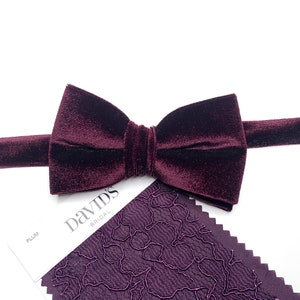 PLUM Velvet Bow Tie , Grape Purple Wisteria Bow Tie , Pocket Square , Bow tie , Necktie 2.35  3 inches 3.26