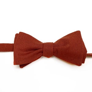Cooper Bow Tie , Burnt Orange , Rust Necktie , Pocket Square , davids bridal tie , Pocket Square , Bow tie , Kids Bow tie