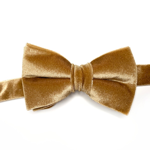 jeweled bow tie