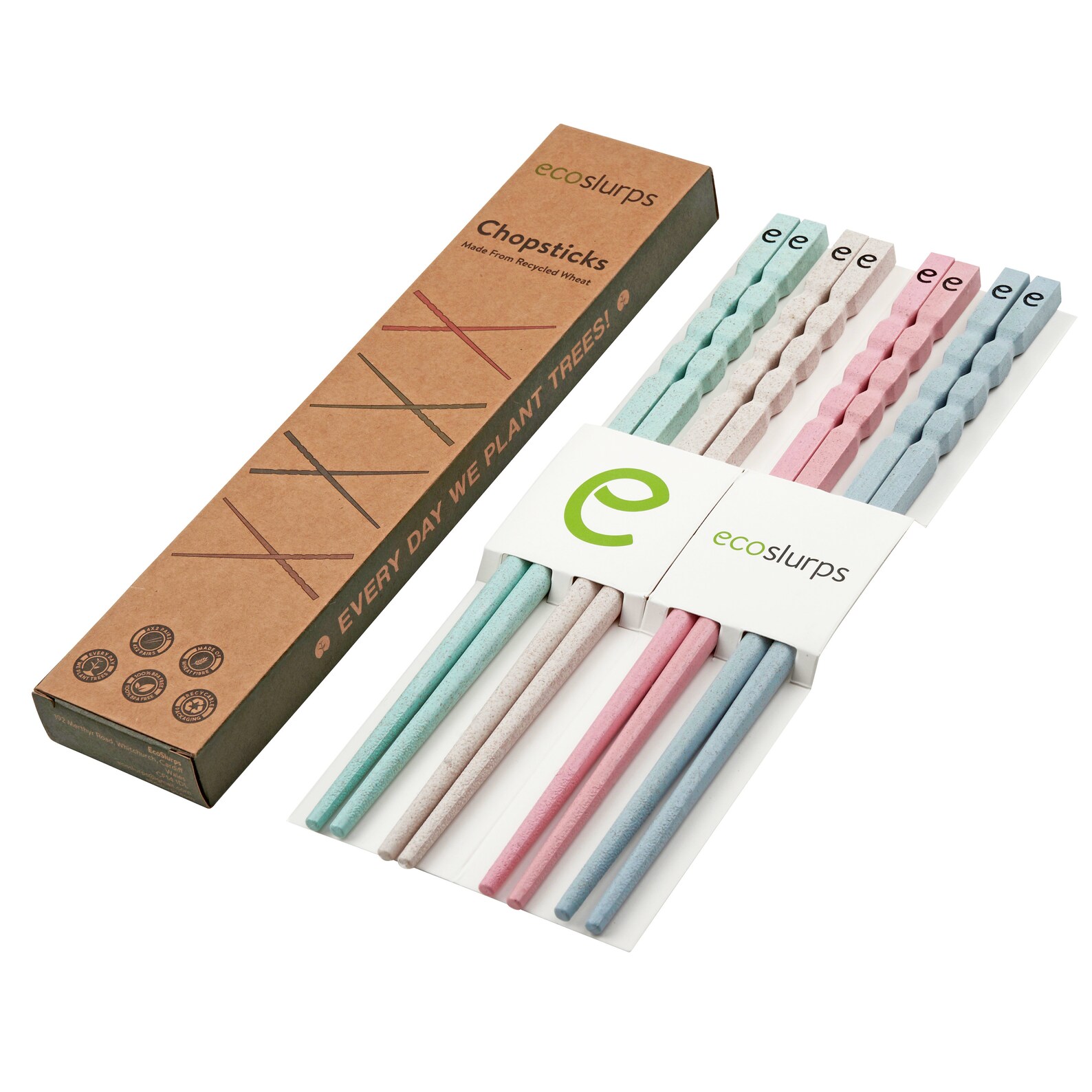 EcoSlurps Reusable Chopsticks Tree Plated With Sale Zero Etsy