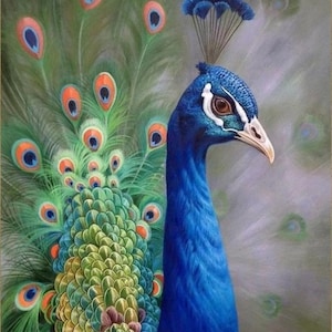 Peacock Hand Painted Paintings on Canvas Wall Art Painting Without Frame image 1