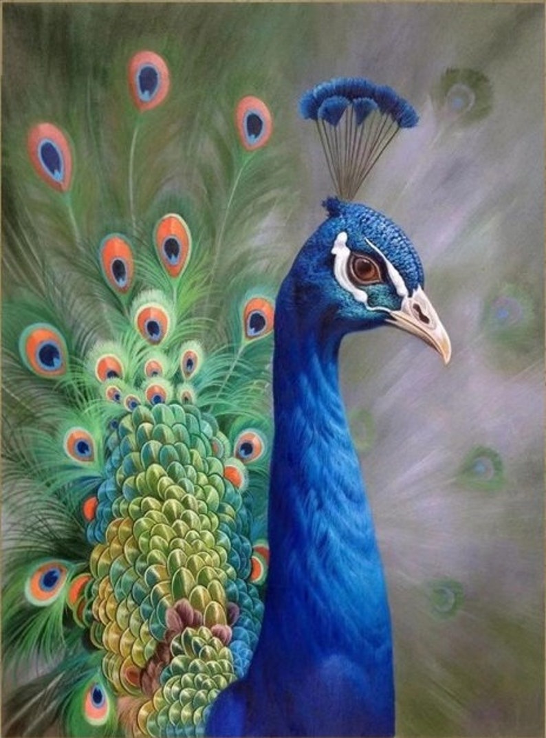 Peacock Hand Painted Paintings on Canvas Wall Art Painting Without Frame image 1