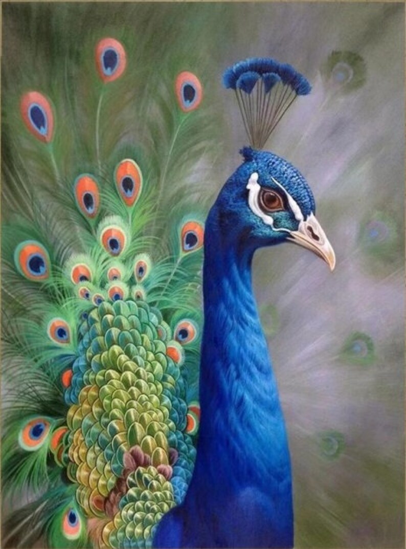 Peacock Hand Painted Paintings on Canvas Wall Art Painting Without Frame image 3