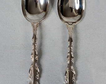 Set mit 2 21 cm langen Birken Louis De France Servierlöffeln