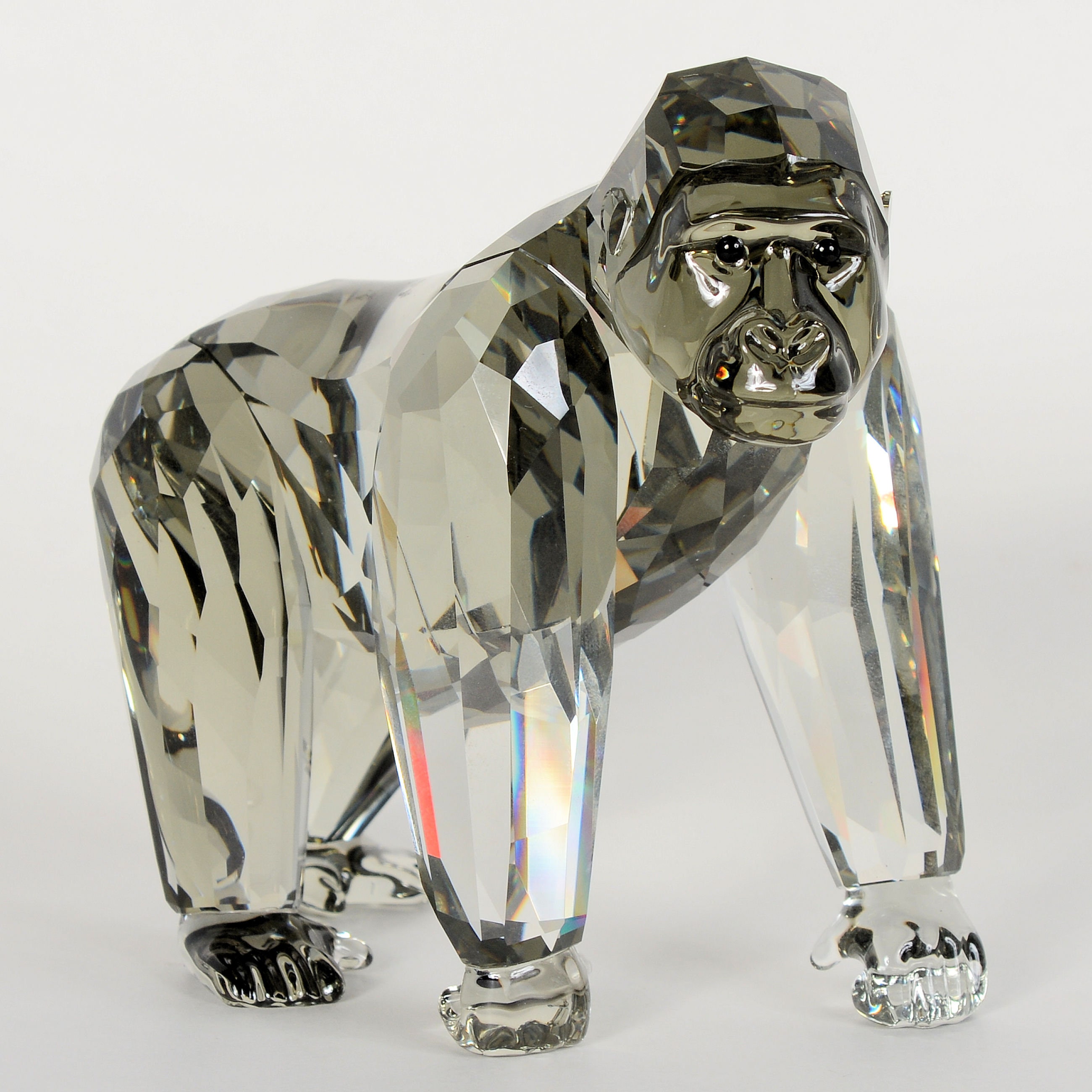 Swarovski 2009 Edizione annuale della fauna selvatica in via di