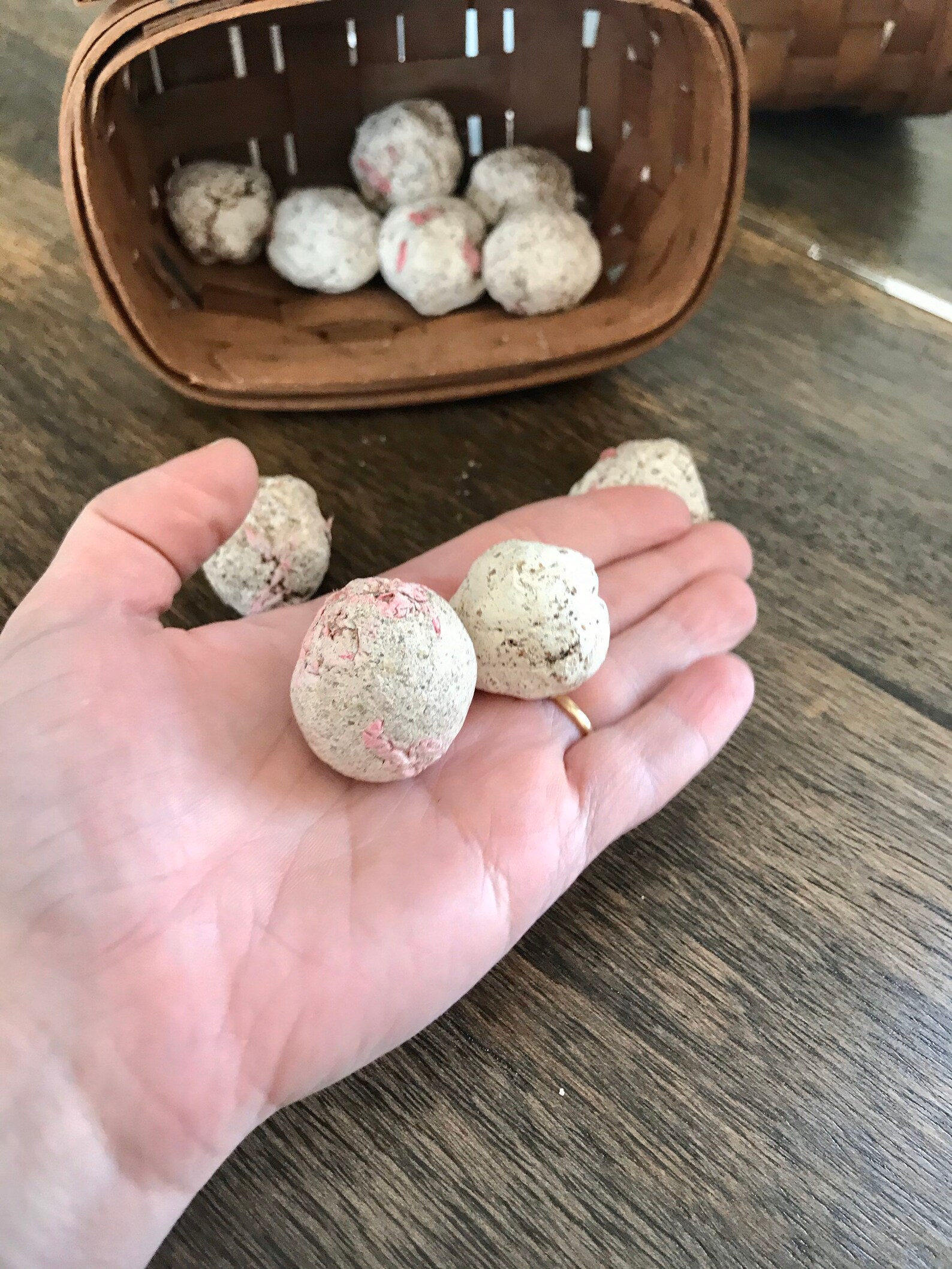 Clay seed bombs set of 25 Guerrilla gardening FREE Etsy