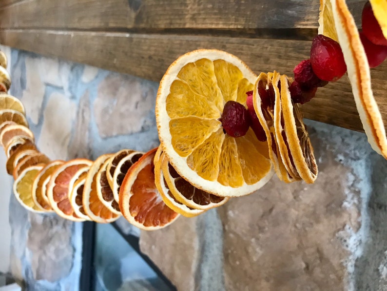 Citrus and Cranberry Garland Dried Fruit Garland Fall Home Etsy