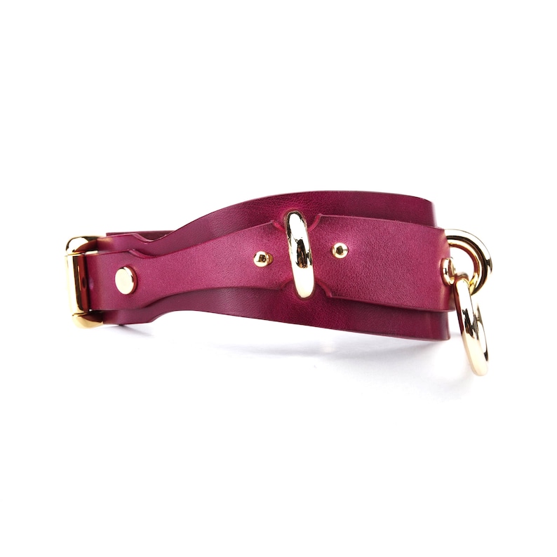 May include: A burgundy leather collar with gold-colored hardware. The collar features a buckle closure, a D-ring, and decorative rivets. The design is simple and elegant, suitable for pets.