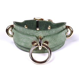 May include: A green leather collar with gold-colored metal hardware. The collar features a large ring in the center and smaller rings on the sides. The collar is designed with a curved shape and is secured with a buckle.