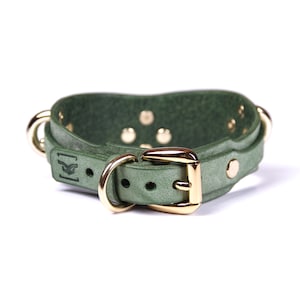 May include: A green leather dog collar with gold-colored hardware, including a buckle, rivets, and D-rings. The collar has a decorative embossed design and is set against a white background.