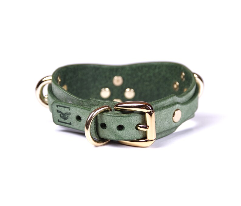 May include: A green leather dog collar with gold-colored hardware, including a buckle, rivets, and D-rings. The collar has a decorative embossed design and is set against a white background.