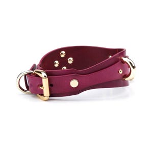 May include: A burgundy leather collar with gold-colored hardware. The collar features a buckle closure, a D-ring, and decorative gold studs. The design is sleek and modern, suitable for pets.