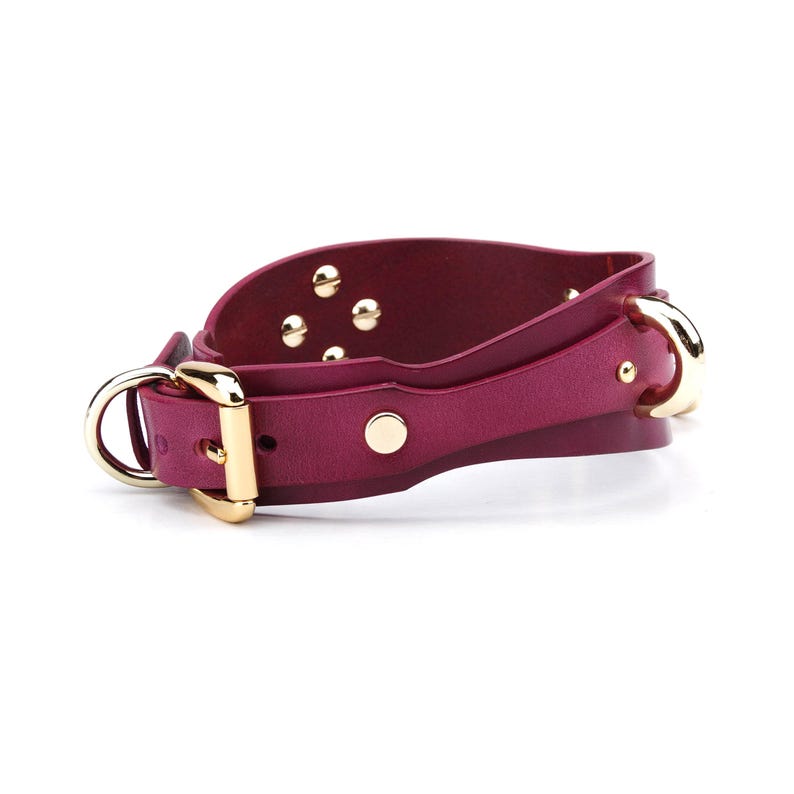 May include: A burgundy leather collar with gold-colored hardware. The collar features a buckle closure, a D-ring, and decorative gold studs. The design is sleek and modern, suitable for pets.