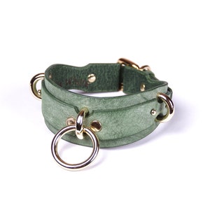 May include: A green leather collar with gold-colored metal hardware. The collar features a large central ring and smaller rings on the sides. The leather has a textured appearance.