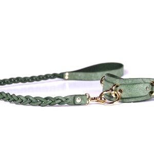 May include: A green dog collar and leash set. The leash is braided and connects to the collar with a gold-colored clasp. The collar and leash are a muted green color, with gold-colored hardware.