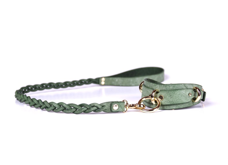 May include: A green dog collar and leash set. The leash is braided and connects to the collar with a gold-colored clasp. The collar and leash are a muted green color, with gold-colored hardware.
