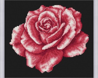 Blush rose. Cross stitch pattern. PDF #1031