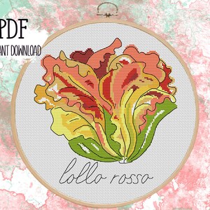 Cross stitch pattern. Lollo rosso lettuce. Сabbage. Decor for the kitchen. X-stitch. Hand embroidery. PDF #27