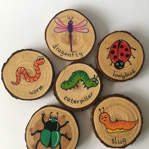 Hand painted nature wooden slices - mini beasts and garden critters