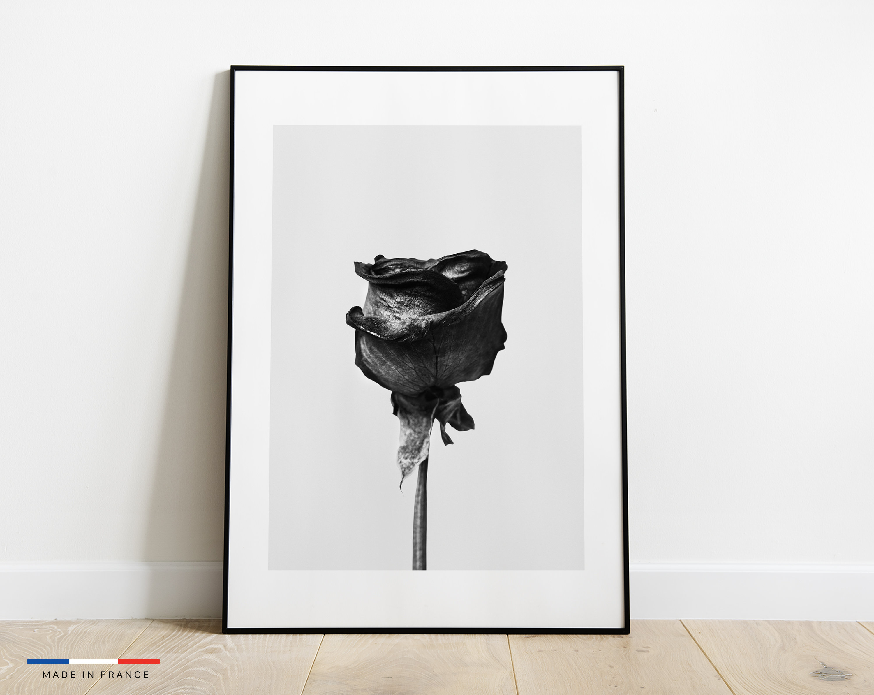 Affiche Rose - Poster Fleur Noir et Blanc
