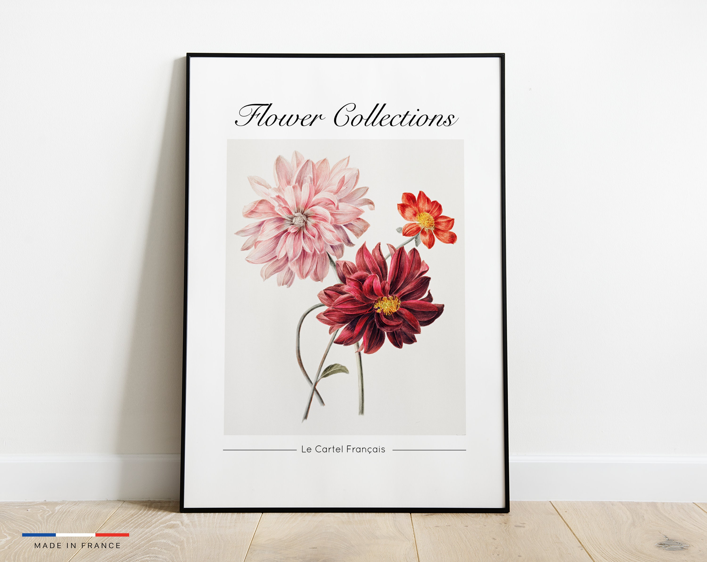Flower Collections - Affiche Vintage Fleurs Dahlia